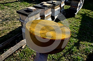 Work of a beekeeper melting old dark wax combs full of diseases in a stainless steel steam boiler. big cake of wax on apiary shows