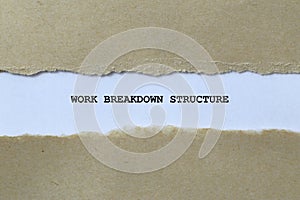 work breakdown structure on white paper