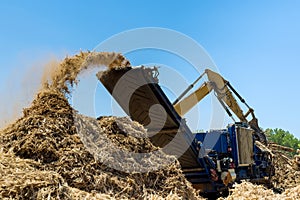 Work conveyor of an industrial wood shredder producing wood chips from roots in construction site