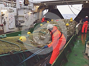 Work on the deck of the trawler