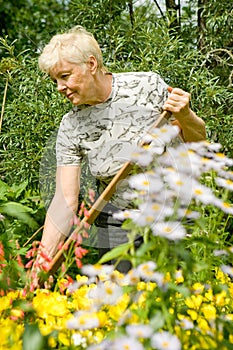 Work in a garden