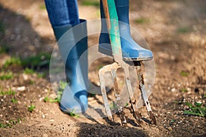 Work in a garden - Digging Spring Soil With Spading fork