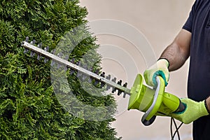 Work in the garden. The gardener is cutting plants. Hedge trimmer works. Hedge trimmer in action. Home and garden concept. Work