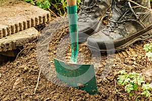 Work gardening. Retired dig for plants.