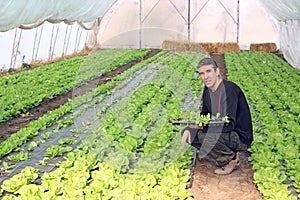 Work in Greenhouse