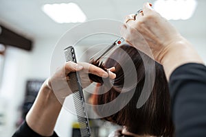 The work of a hairdresser. Hairdresser cut hair of a woman  in a beauty salon