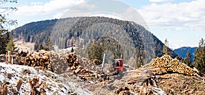 Work harvester stacked wood logs tree background blue sky. Concept lumber timber industry deforestation