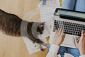 work from home concept - girl with cat