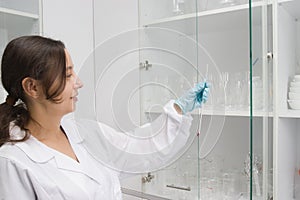 Work in laboratory