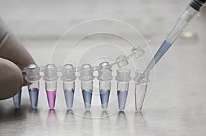 Work with laboratory test tubes