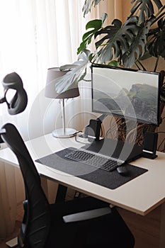 Work place at home with curved screen and orthopaedic chair.Interior with plants