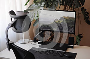 Work place at home with curved screen and orthopaedic chair.Interior with plants