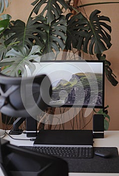 Work place at home with curved screen and orthopaedic chair.Interior with plants