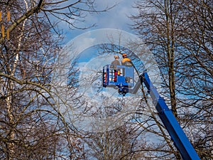 Work platform tree care spring