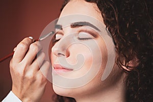 The work of a professional makeup artist. Closeup portrait of beautiful woman getting professional make-up with brush