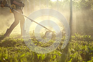 Work to mow the grass trimmer. the process of mowing tall grass with a trimmer. selective focus on uncut Tawa and scatter