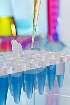 Laboratory pipette with drop of blue reagent over tubes rack