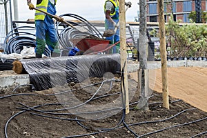 Workcrews finish up drip irrigation for plants