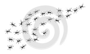 Worker ants trail line flat style design vector illustration isolated on white background.