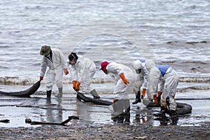 A Worker in biohazard suits used Oil Containment boom as cleani