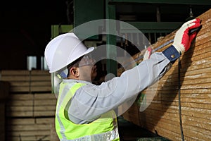 Worker carpenter measures the wood