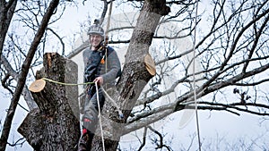 Worker with chainsaw  and helmet cutting down tree