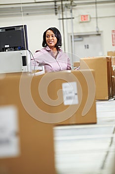 Worker Checking Goods On Belt In Distribution Warehouse