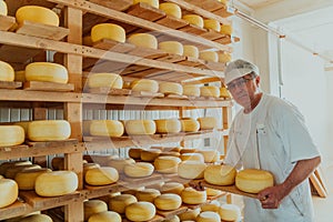 A worker at a cheese factory sorting freshly processed cheese on drying shelves