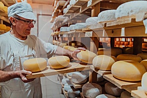 A worker at a cheese factory sorting freshly processed cheese on drying shelves