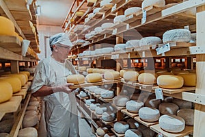 A worker at a cheese factory sorting freshly processed cheese on drying shelves