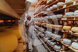 A worker at a cheese factory sorting freshly processed cheese on drying shelves