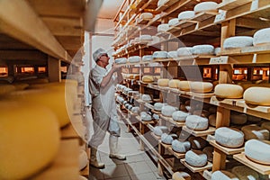 A worker at a cheese factory sorting freshly processed cheese on drying shelves