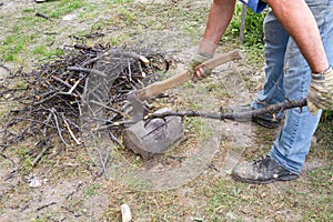 The worker chops the branches.