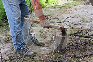 The worker chops the branches.