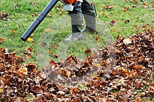 Worker cleaning falling leaves in autumn park. Man using leaf blower for cleaning autumn leaves. Autumn season. Park