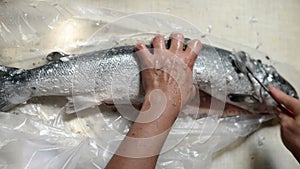 A worker cleaning and filleting a fresh caught saltwater fish with head