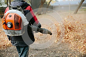 Worker cleaning lawn in park from Dead Leaves using gas powered Leaf Blower