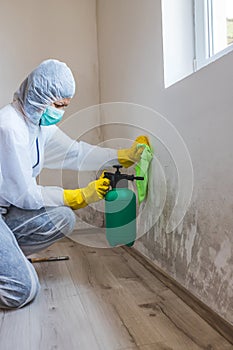 Worker of cleaning service removes the mold using spray bottle with mold removal products photo