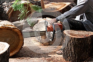 Worker cutting bark wood
