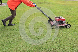 Worker cutting green grass field by engine lawn mover