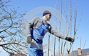 Worker cutting off branch in the garden. Man prunning trees. Spring season. Cultivate. Tools