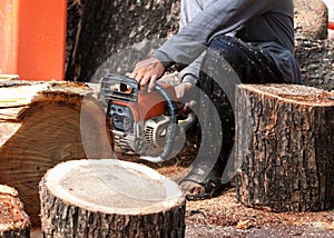 Worker cutting tree wood by engine saw