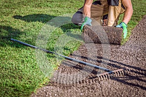 Worker - designer lays a rolled lawn.