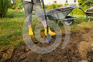 Worker digs the black soil with shovel in the vegetable garden, woman farmer loosens dirt in the farmland, agriculture