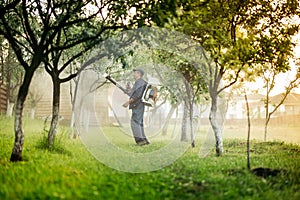 worker and farmer using spraying machine for pesticides and insecticide