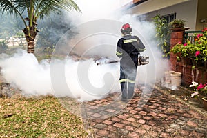 Worker fogging residential area with insecticides to kill aedes photo