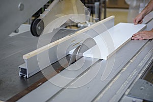 Worker in a furniture factory cutting a white wooden plank