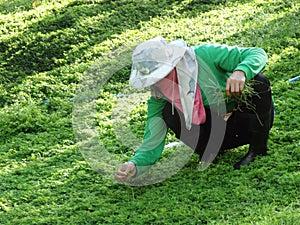 Worker gardener full cover dress up take out the grass from the garden yard