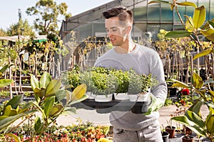 Worker gardening in glasshouse