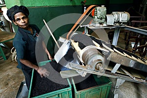 A worker at the Glenloch Tea Factory in Sri Lanka.